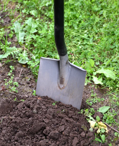shovel in dirt
